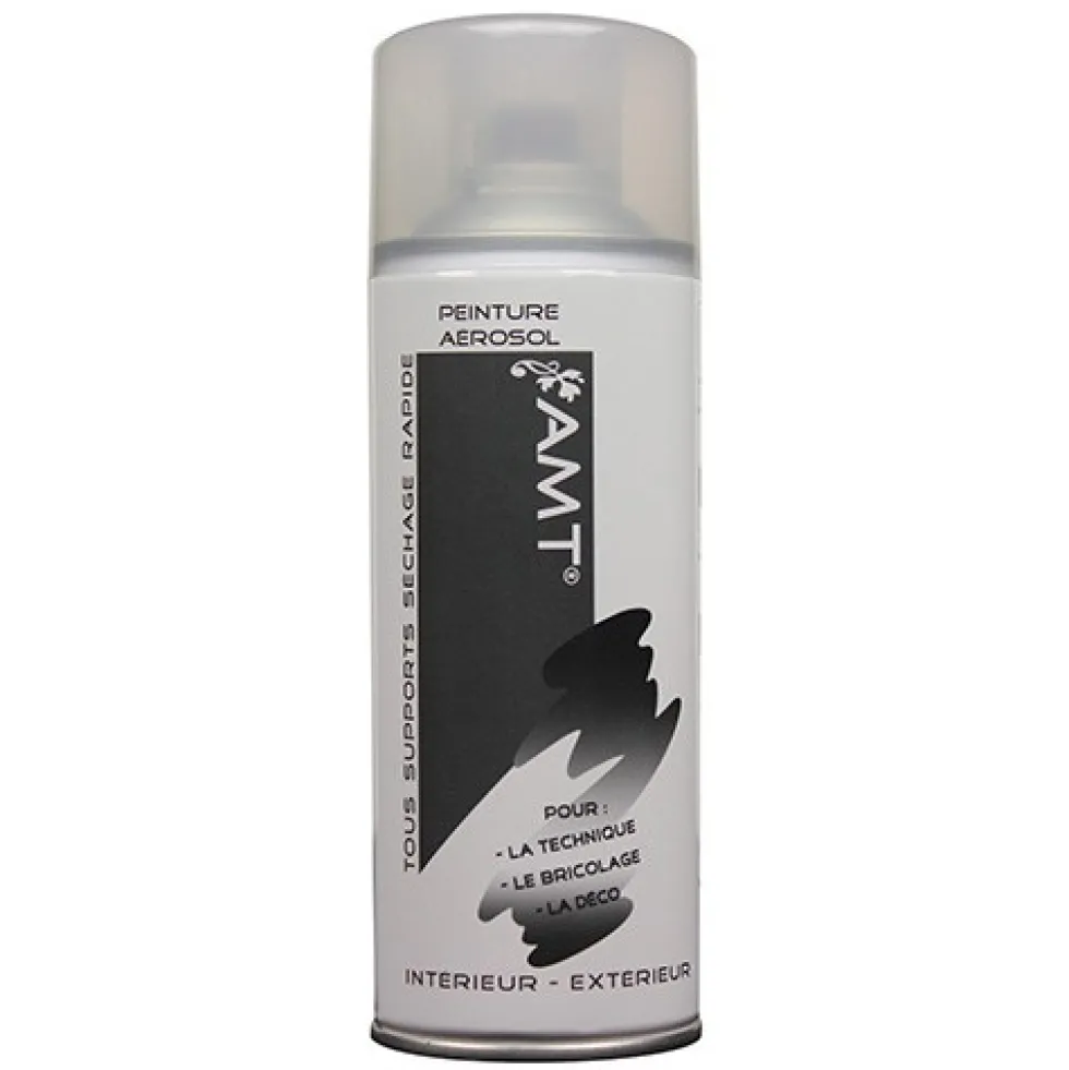 AMT Aérosol Vernis Brillant (BPA06)