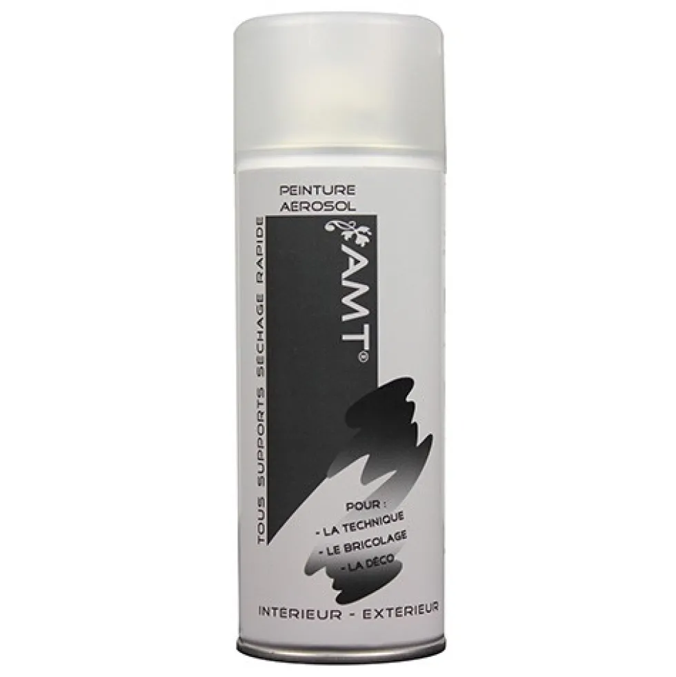 AMT Aérosol Vernis Mat (BPA05)