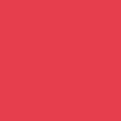 Aérosol de Marquage JULIEN Rouge Fluo (500ml)