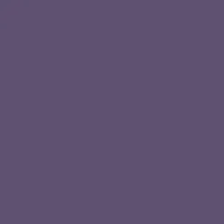 AVI Colore la Vie Peinture Toutes pièces Sirop de violette
