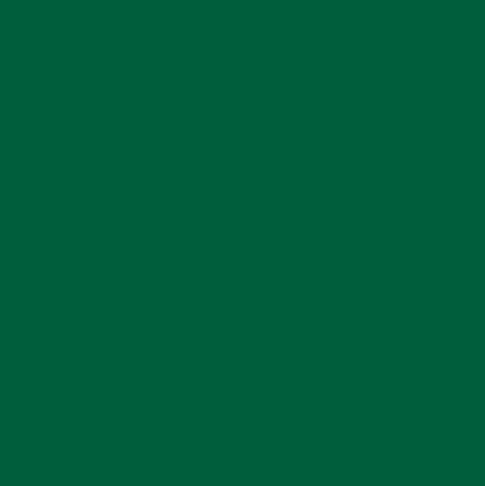 Bombe de peinture aérosol MTN Hardcore Vert Lutèce (RV-5)
