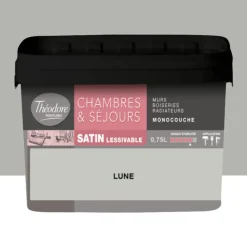 Chambres & Séjours Théodore Satin Monocouche Lune