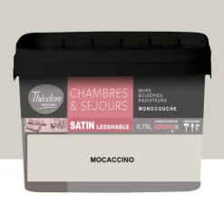 Chambres & Séjours Théodore Satin Monocouche Mocaccino