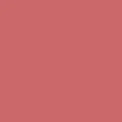 Dulux Valentine Peinture acrylique Color Resist Rouge éternel Mat