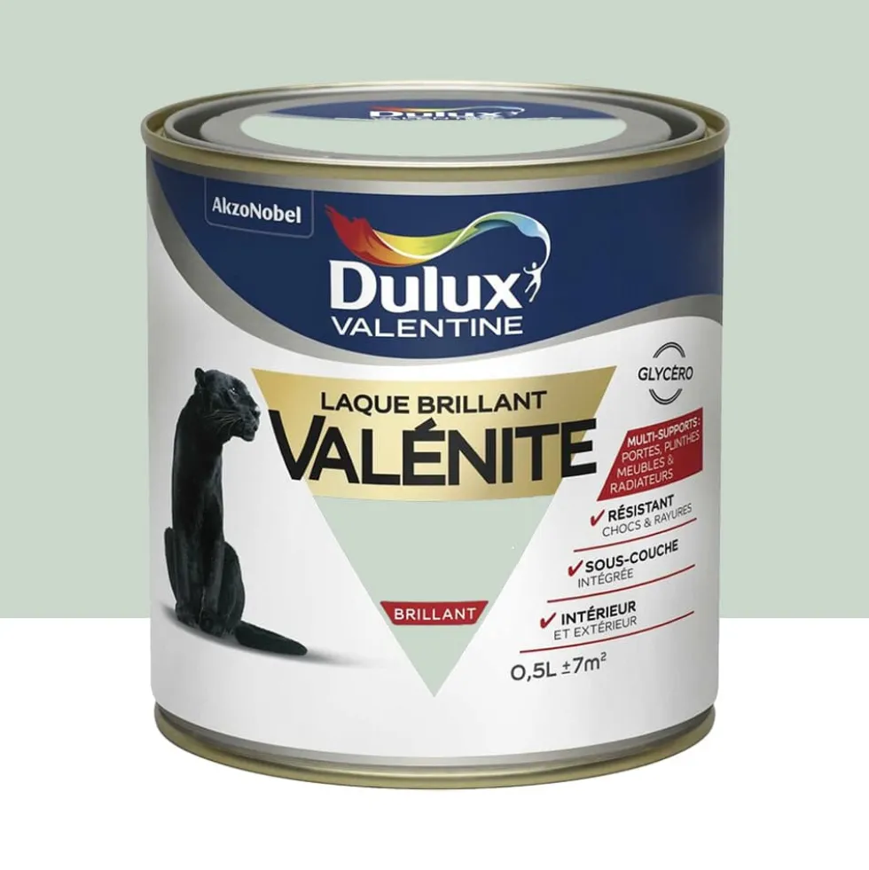 Laque brillant Dulux Valentine Valénite Gris perle
