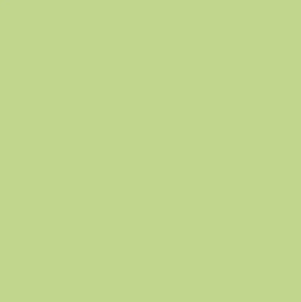 Laque Glycéro Brillante ASTRAL Vert Anis