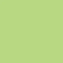 Laque Glycéro Satin ASTRAL Vert Anis