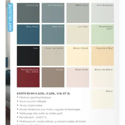 Laque mat velouté Dulux Valentine Valénite Blanc Cassé