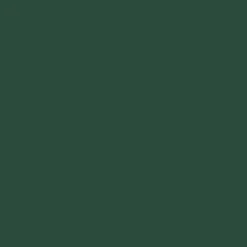 Laque satin Dulux Valentine Valénite Vert Basque