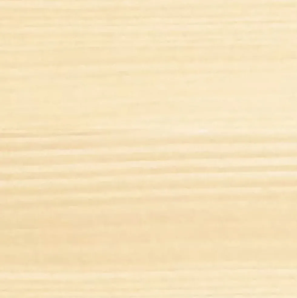 Lasure 2en1 BONDEX Haute Protection 5ans Incolore Mat velouté