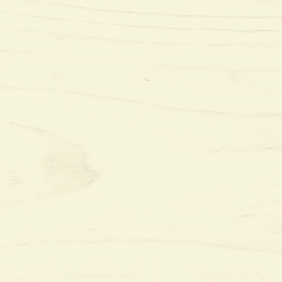Lasure Xyladécor Abris et palissades Lin opaque