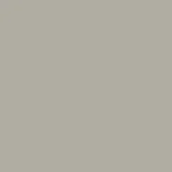 LINITOP Opaque Protect Gris antique (101) Mat