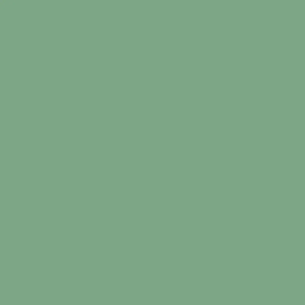 LOXXO Peinture Fer Antirouille Vert pâle