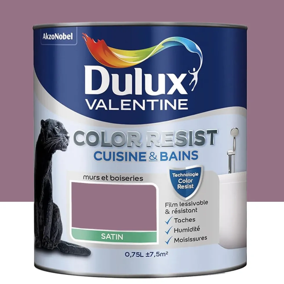 Peinture acrylique Dulux Valentine Color Resist Cuisine & Bains Figue