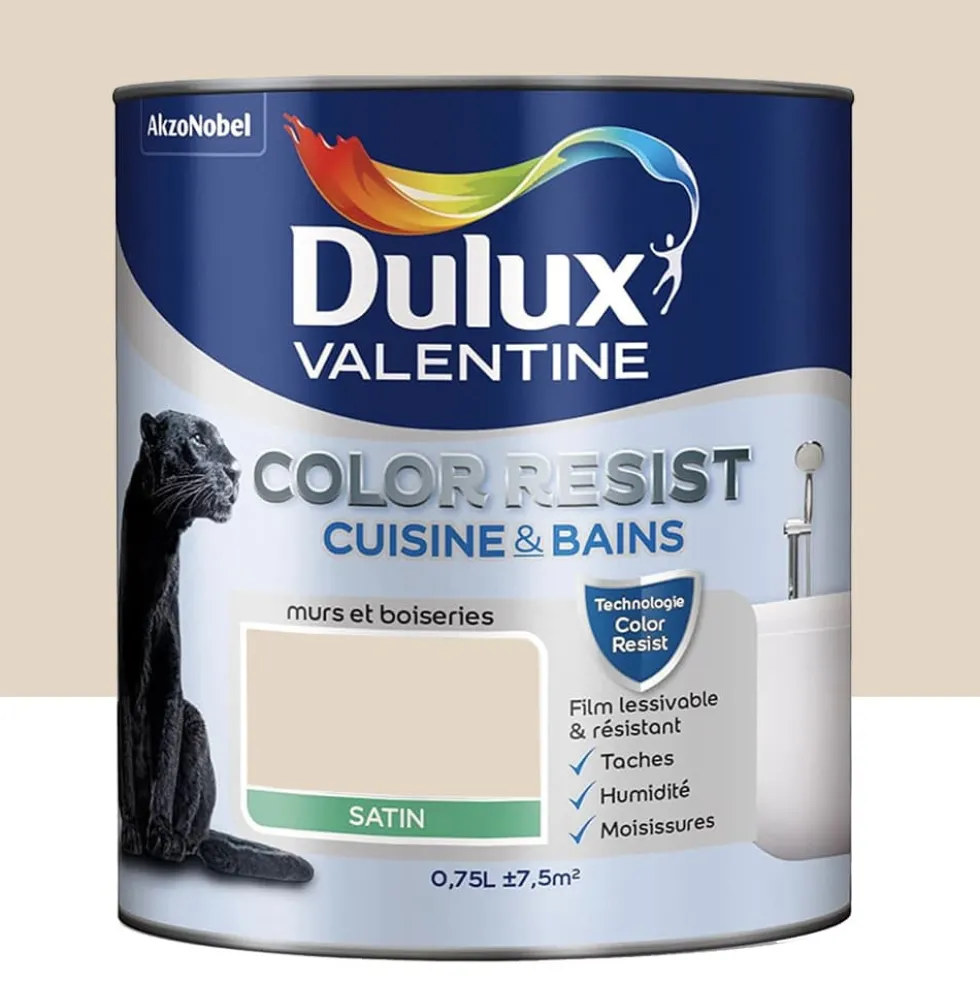 Peinture acrylique Dulux Valentine Color Resist Cuisine & Bains Cocon
