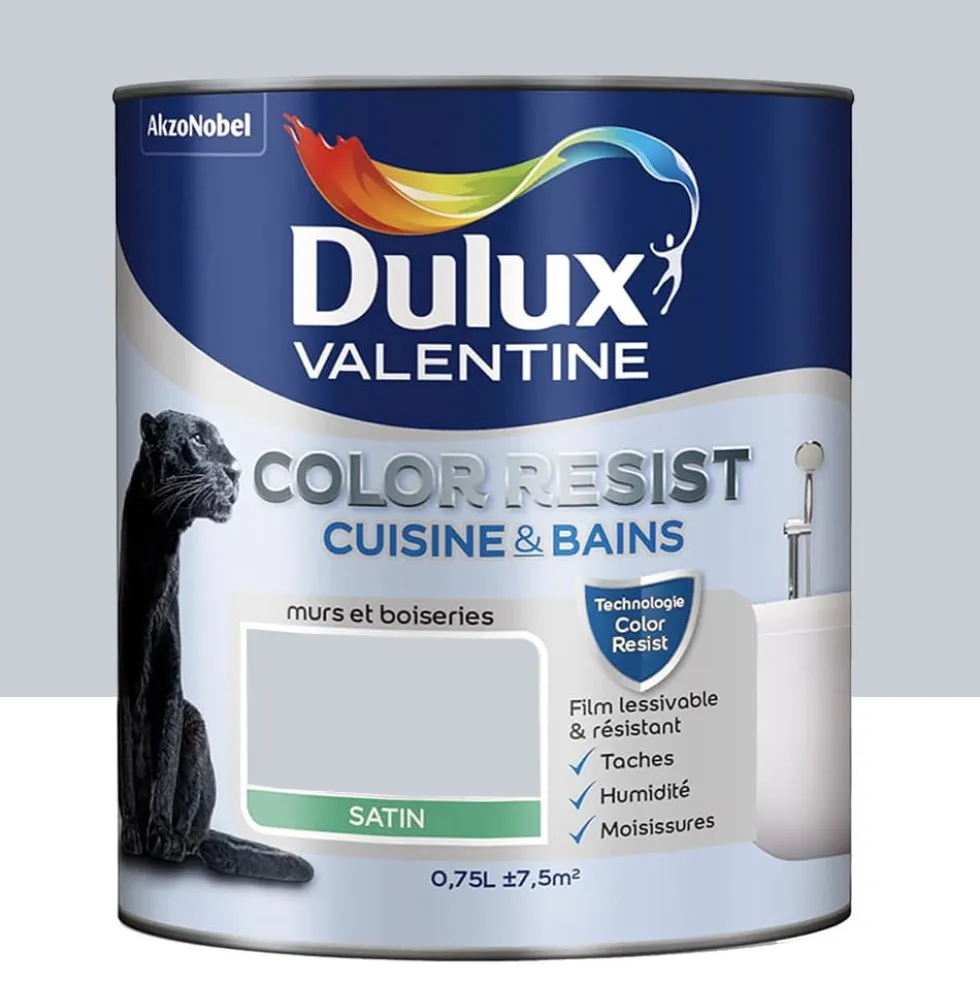 Peinture acrylique Dulux Valentine Color Resist Cuisine & Bains Hammam