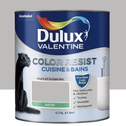 Peinture acrylique Dulux Valentine Color Resist Cuisine & Bains Béton Gris