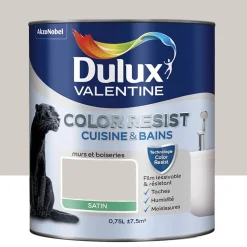 Peinture acrylique Dulux Valentine Color Resist Cuisine & Bains Galet