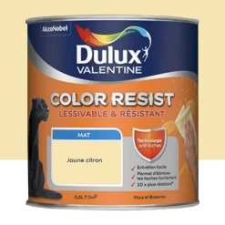 Peinture acrylique Dulux Valentine Color Resist Mat Jaune citron
