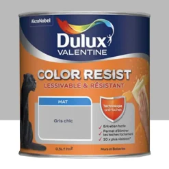 Peinture acrylique Dulux Valentine Color Resist Mat Gris chic
