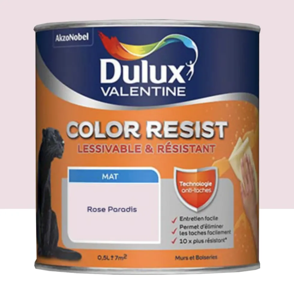 Peinture acrylique Dulux Valentine Color Resist Mat Rose paradis