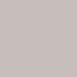 Peinture acrylique Dulux Valentine Color Resist Mat Taupe clair