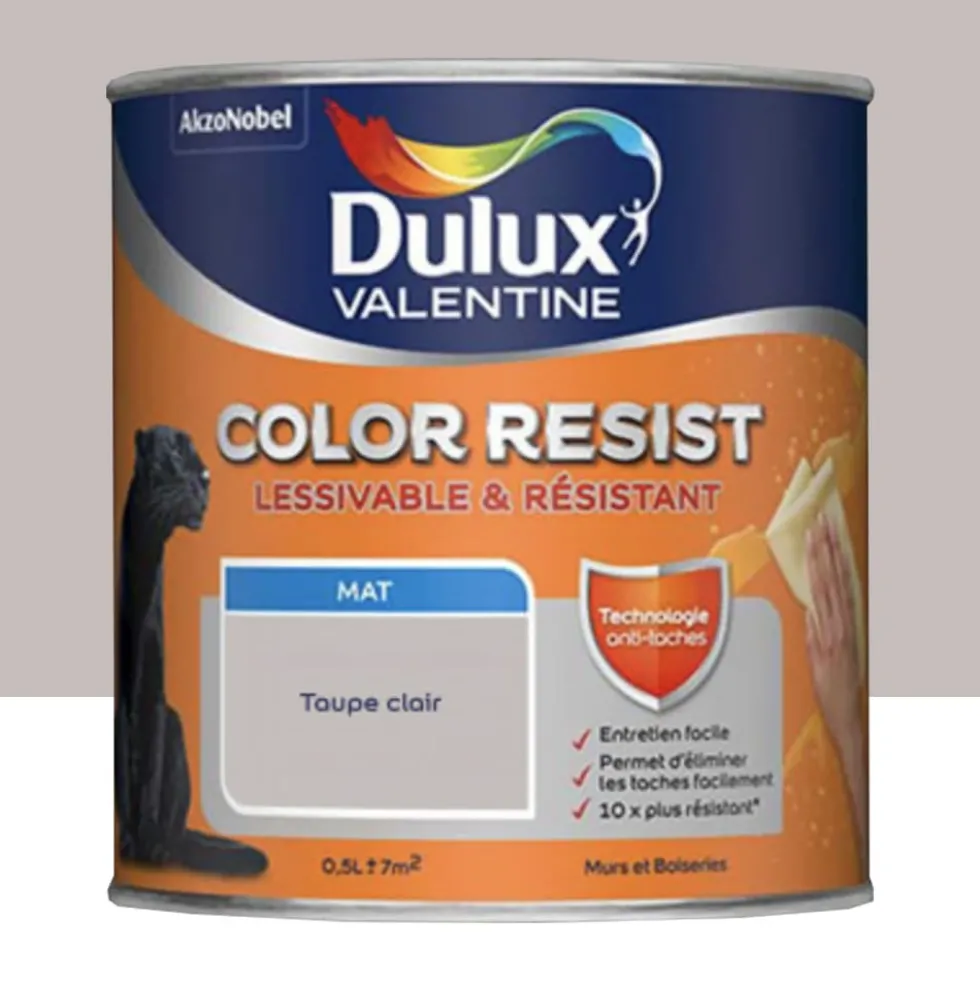 Peinture acrylique Dulux Valentine Color Resist Mat Taupe clair