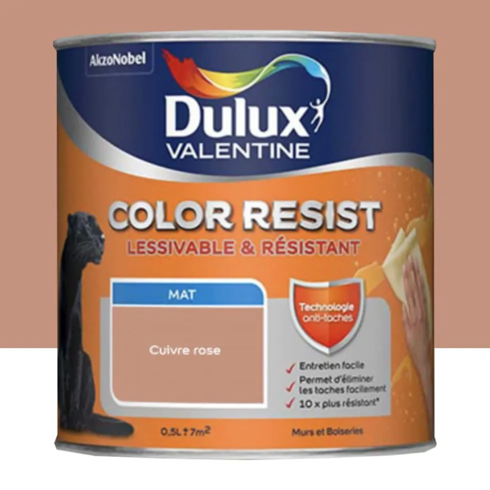 Peinture acrylique Dulux Valentine Color Resist Mat Cuivre rose