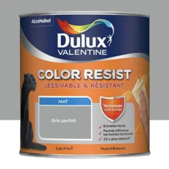 Peinture acrylique Dulux Valentine Color Resist Mat Gris parfait
