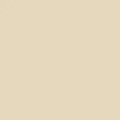 Peinture acrylique Dulux Valentine Color Resist Mat Ivoire