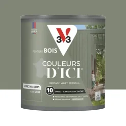 Peinture Acrylique pour Bois Extérieurs 10 ans V33 Couleurs d'ICI Velours Kaki grisé