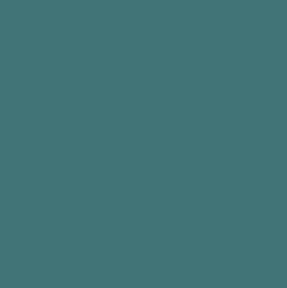 Peinture acrylique RIPOLIN Esprit Déco Satin Bleu pop
