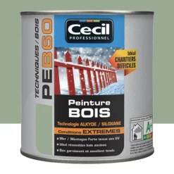 Peinture Bois Cécil Professionnel PEB60 Vert olivier