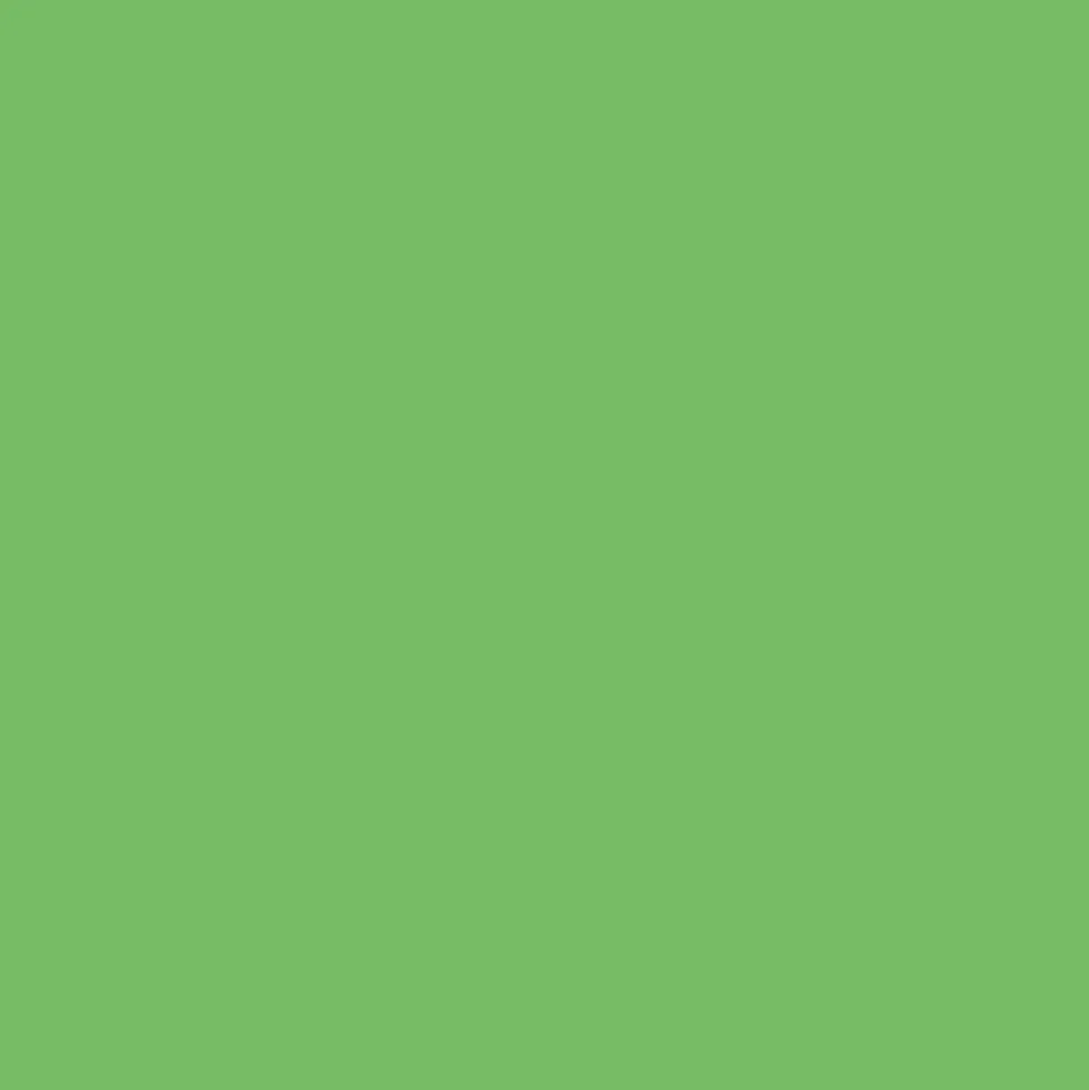 Peinture Bois Owatrol Mat Profond Vert de gris