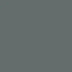 Peinture bois V33 Climats Extrêmes Satin Gris basalte