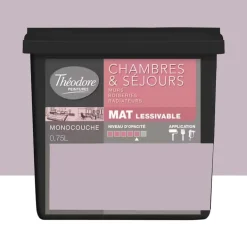 Peinture Chambres & Séjours Théodore Mat Monocouche Smoothie