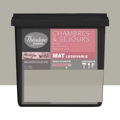 Peinture Chambres & Séjours Théodore Mat Monocouche Bruges