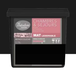 Peinture Chambres & Séjours Théodore Mat Monocouche Noir