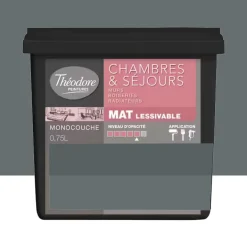 Peinture Chambres & Séjours Théodore Mat Monocouche 7016