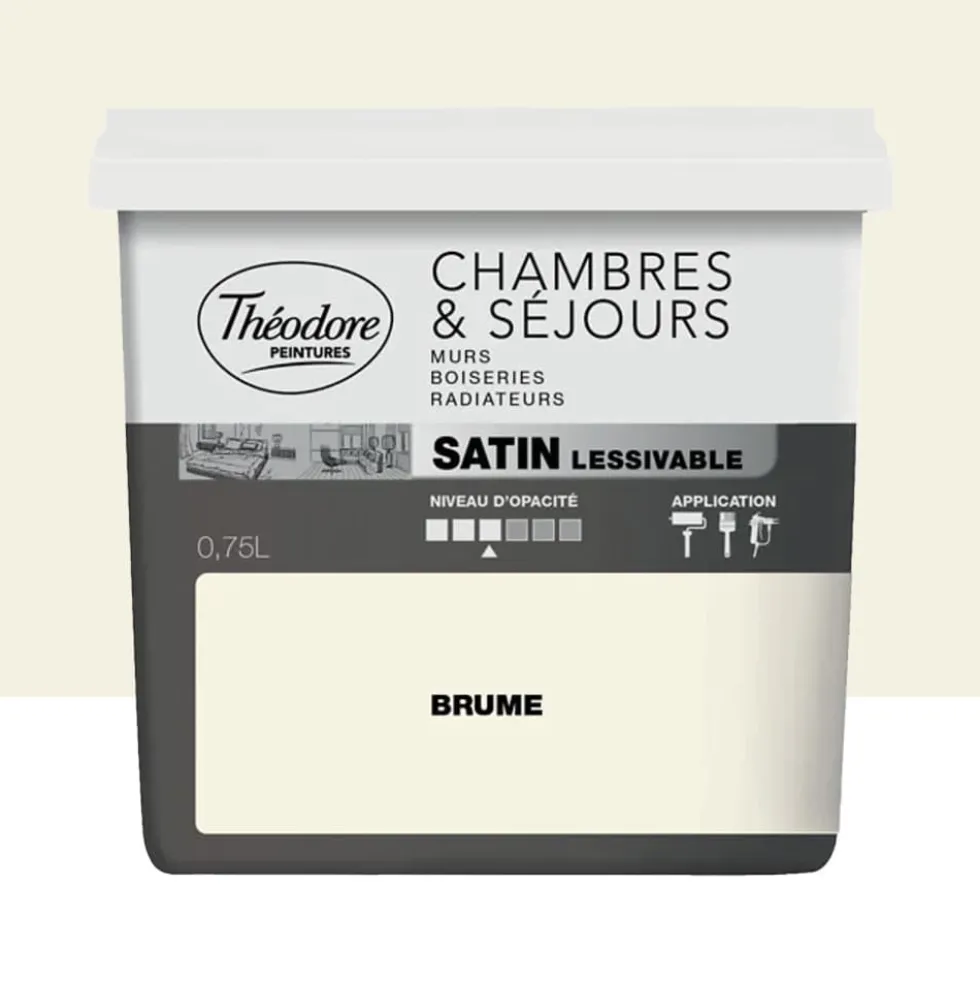 Peinture Chambres & Séjours Théodore Satin lessivable Brume