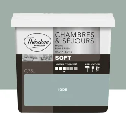 Peinture Chambres & Séjours Théodore Soft Iode