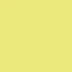 Peinture Cuisine & Bain V33 Vert printemps n°57