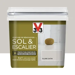 Peinture De Rénovation V33 Sol & Escalier Plume