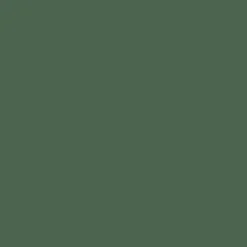 Peinture Direct Bois OXI Vert jardin