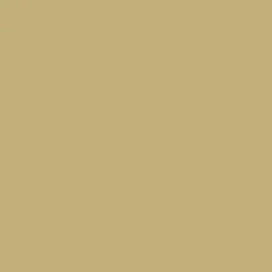 Peinture DULUX VALENTINE Ecran+ Bois Jaune pampa