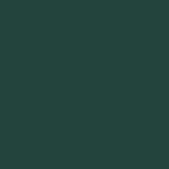 Peinture DULUX VALENTINE Ecran+ Bois Vert Basque