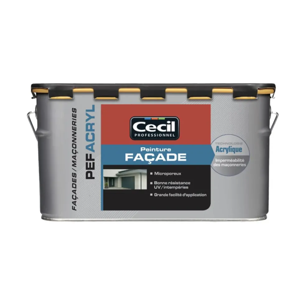 Peinture Façade PEF Acryl CÉCIL Blanc