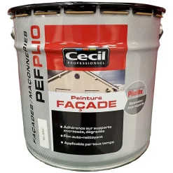 Peinture façade pliolite CÉCIL PEF Plio Blanc