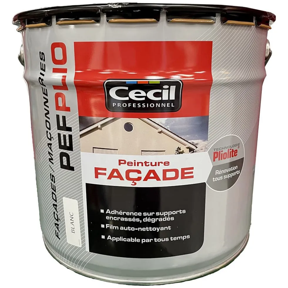 Peinture façade pliolite CÉCIL PEF Plio Blanc