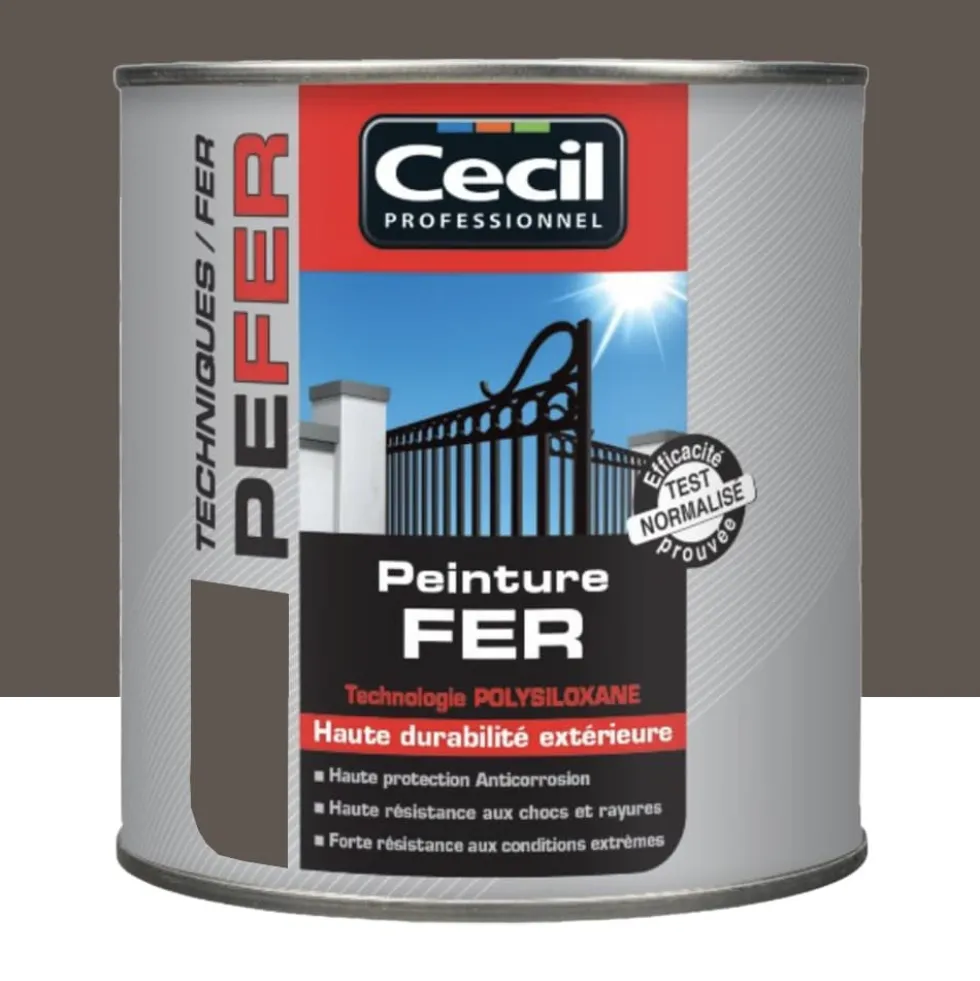 Peinture Fer Cécil Professionnel PE FER Brun foncé
